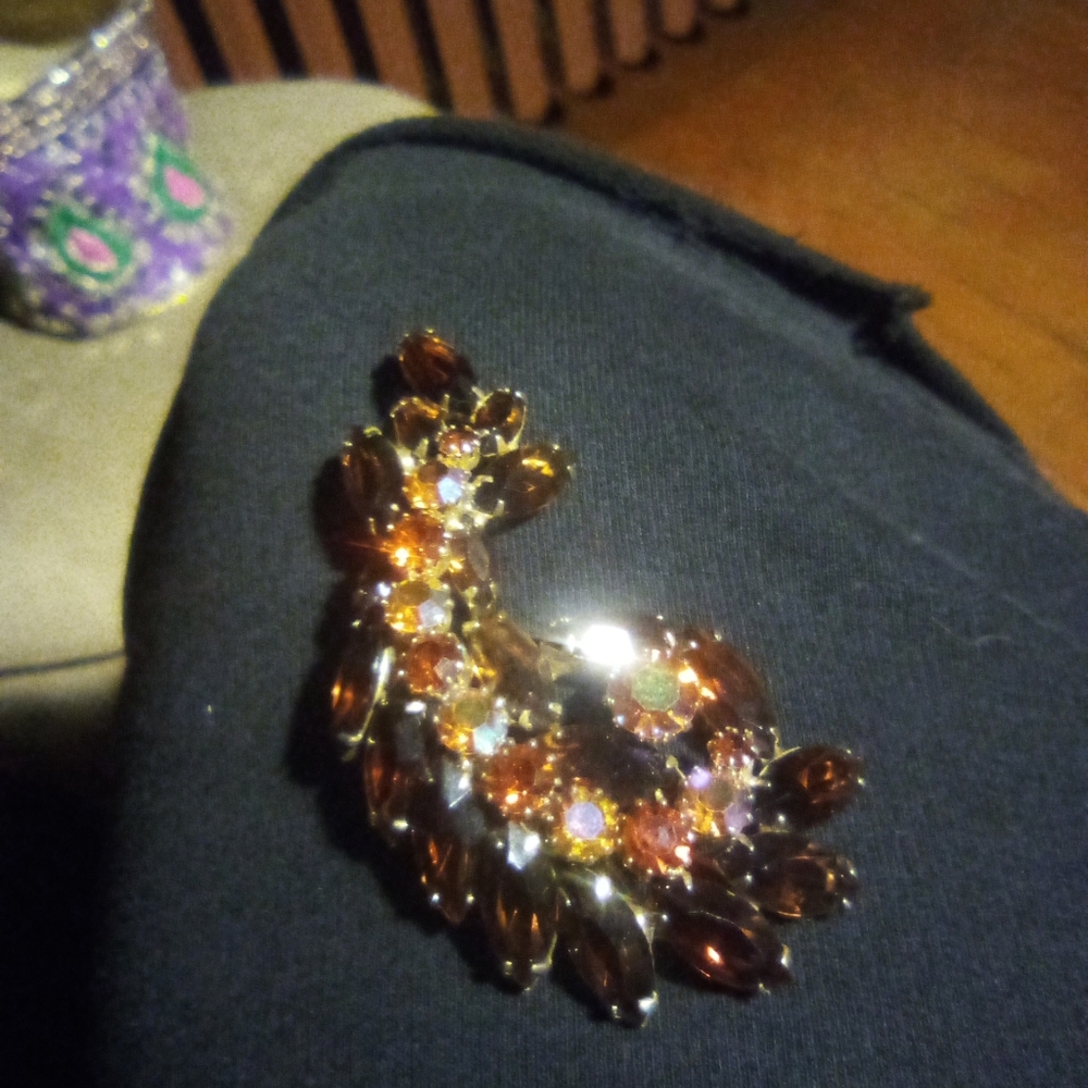 Beautiful Brooch/Pin